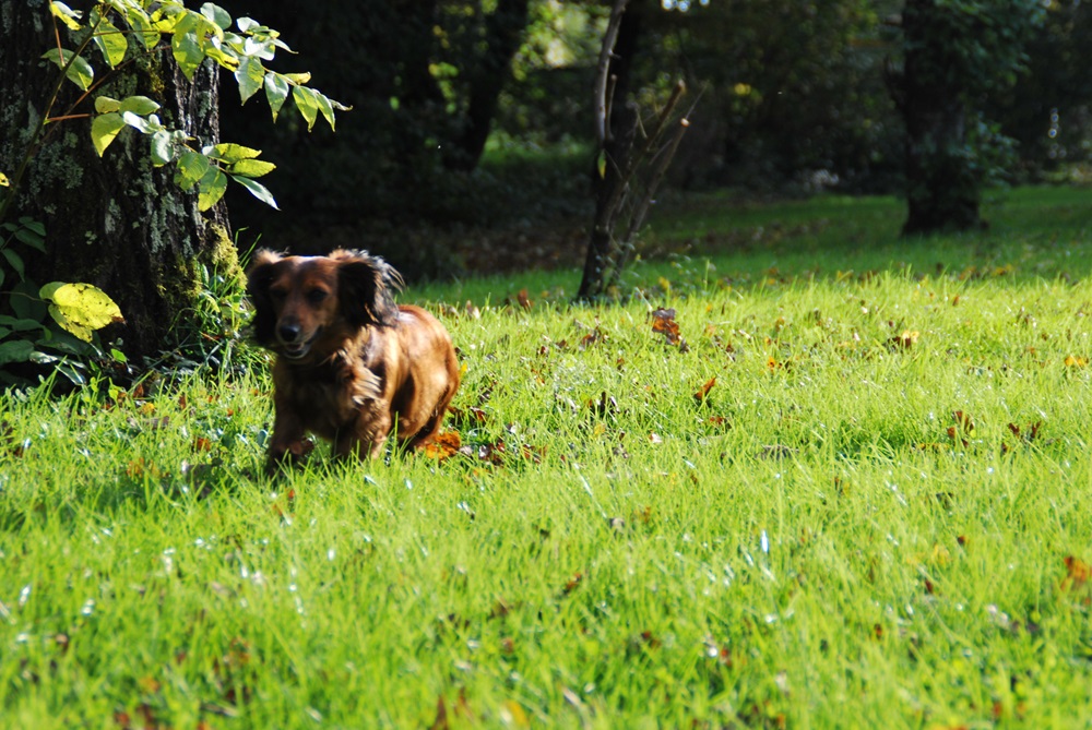 [Image: DSC-1282.jpg]