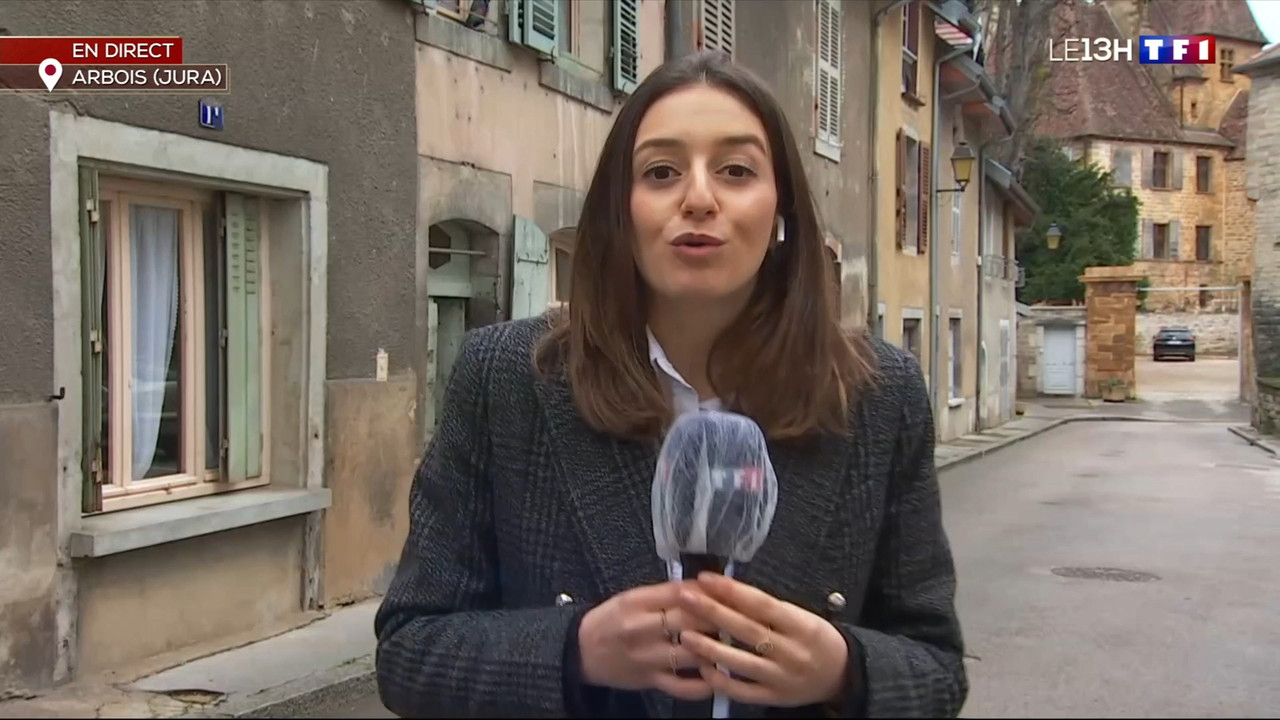 2021-02-04_13_00_TF1_Le-13h.mp4_snapshot_00.22.56.546