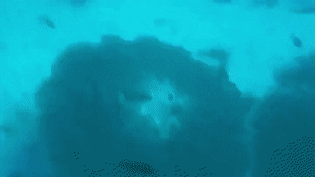 GIFs-6