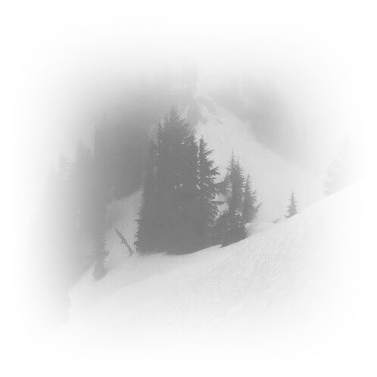 ㅤ𝑔𝔥𝔬𝔰𝔱𝔩𝓎 𝔟𝔟𝓎ㅤ 𓂃