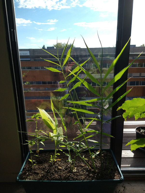 IMG_20240927_091329890