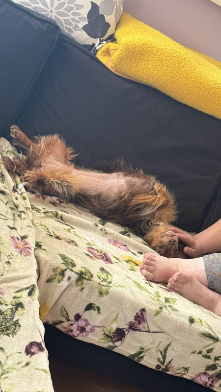 [Image: IMG-3429.jpg]