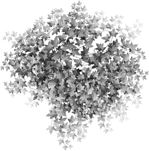 TADD_elements_PrincessParisian (120)