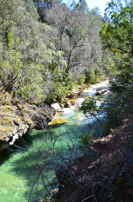 RUTA RIO BOROSA-12-3-2016-JAEN - Paseando por España-1991/2016 (31)