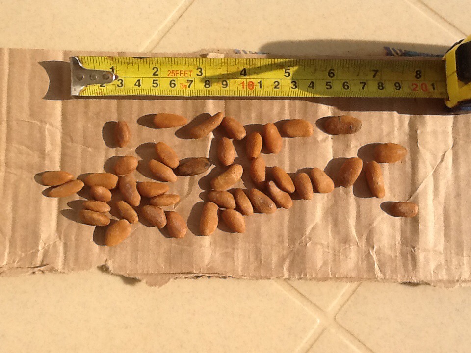 56EFD2D5-1DC6-468A-97CA-05199E6A983B