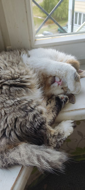 C4CC5DA0-38B0-4C66-ABFE-577EF3073366