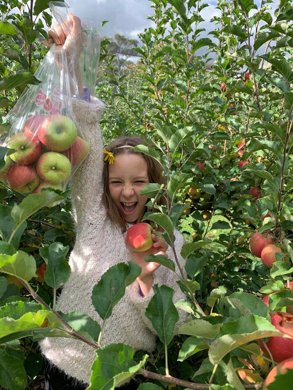 C9D19ECE-8CDD-4EF8-94C5-769F89E9BFD6