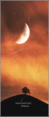 [صورة: nature5.png]