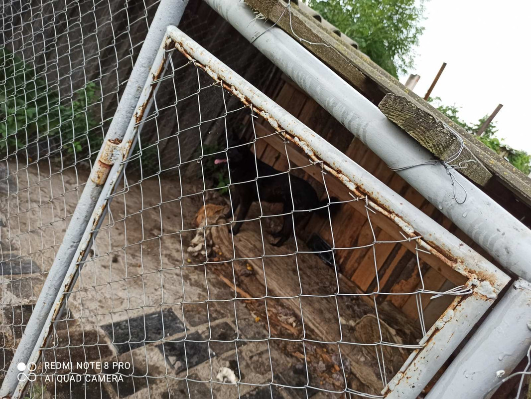 87158124-FCA6-442C-B845-9505651D906B