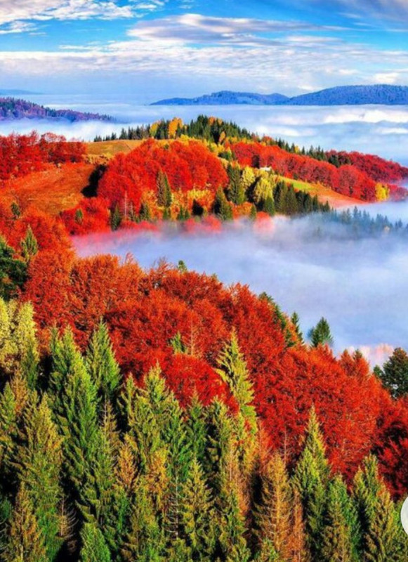 Screenshot_20221215-194324_Chrome