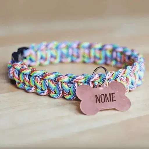 Foto de collar