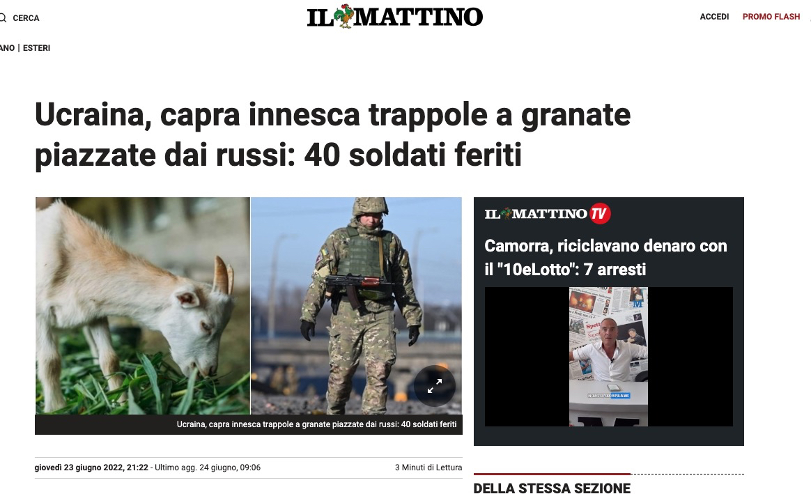 Immagine