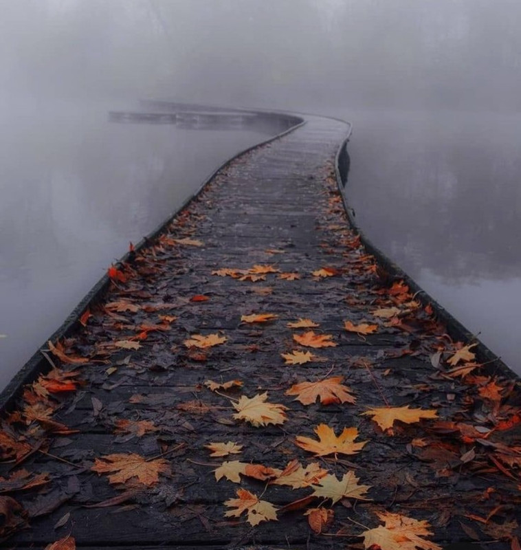 Screenshot_20240404_220528_Pinterest