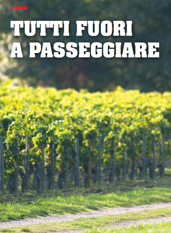 Il Mio Cav (Mag 2023) 1