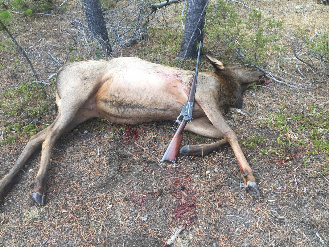 23A5837C-CBA2-4B7C-989C-E5EC6A86F08E