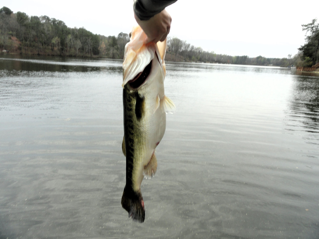 7-spawning-on-the-whacky.jpg