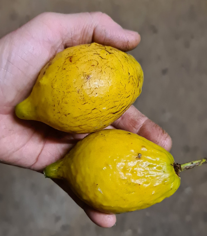 Resized_20200820_184722