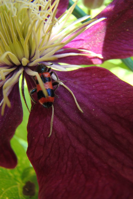 изображение_viber_2025-06-05_22-18-04-006