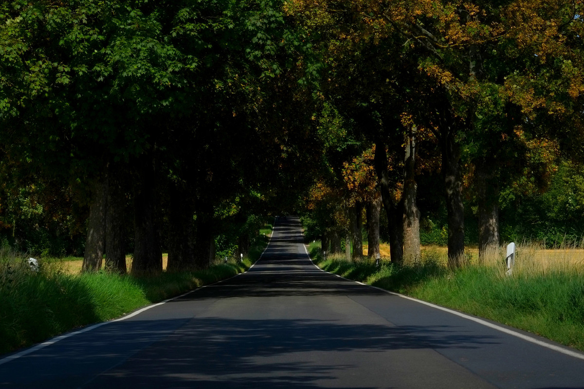 greenlane2.jpg