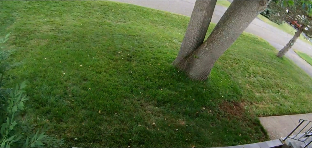 Screenshot_20200629-141437_Photos