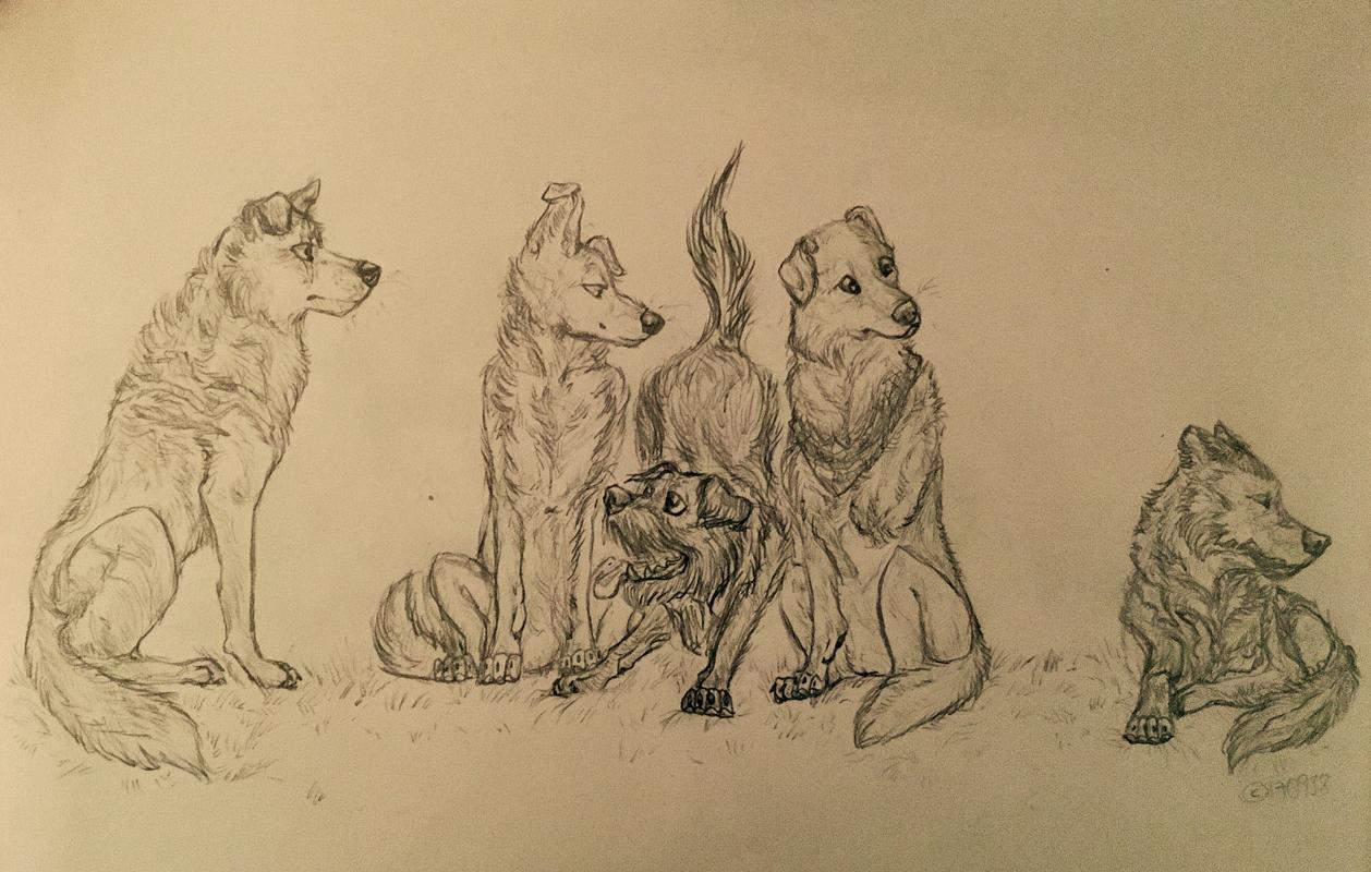 Wolf, Kasai, Kori(deceased), Kensaku & Saika