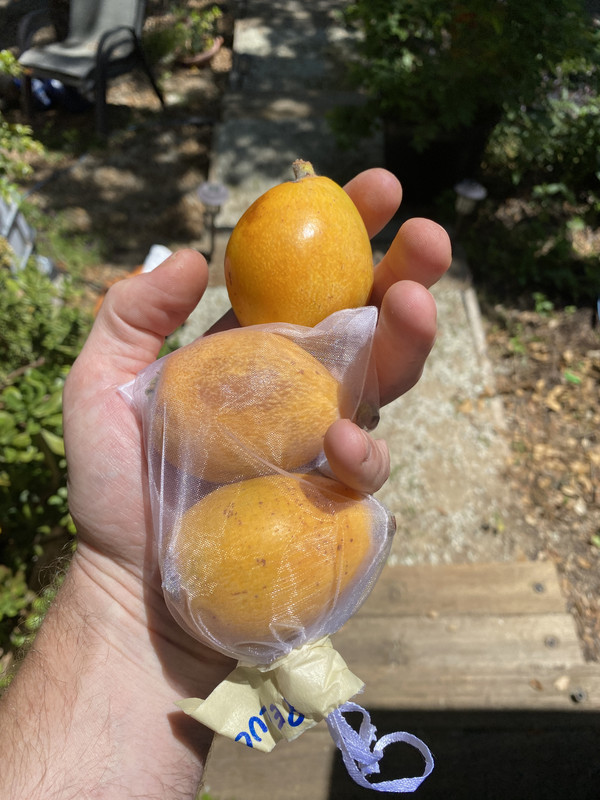 98E78618-CF6F-4D4E-9ED4-BF721D16E32F