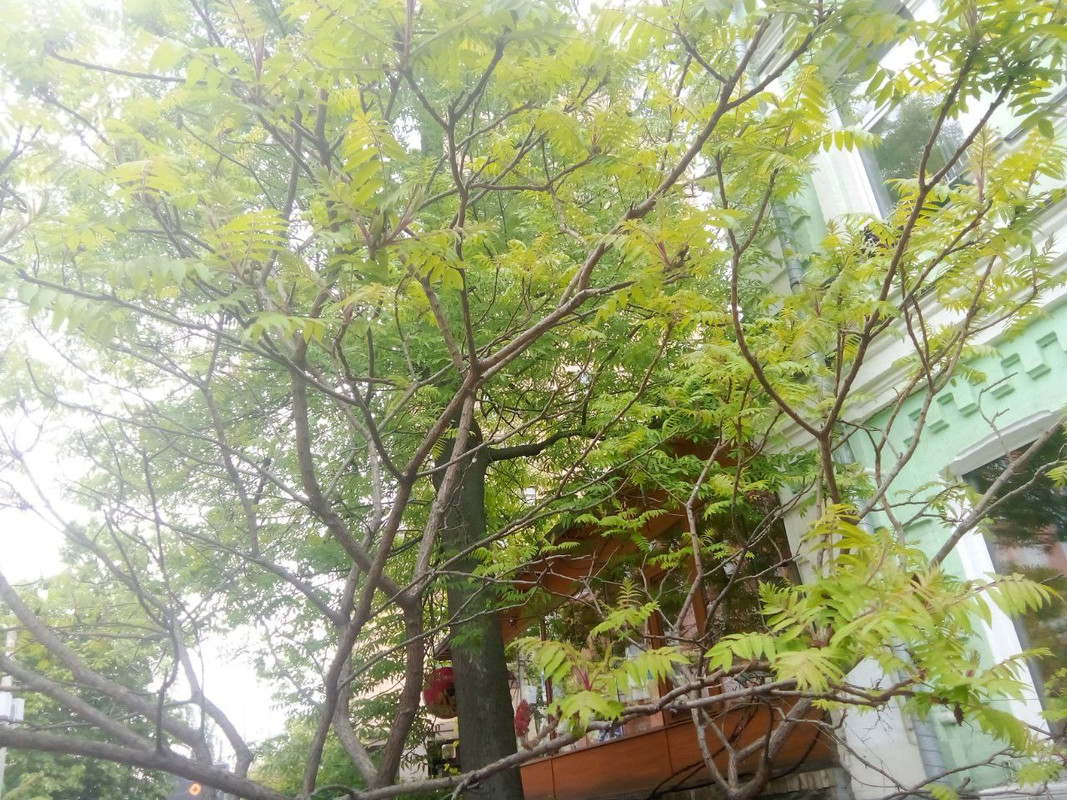 photo_2025-05-17 10.03.32 дп