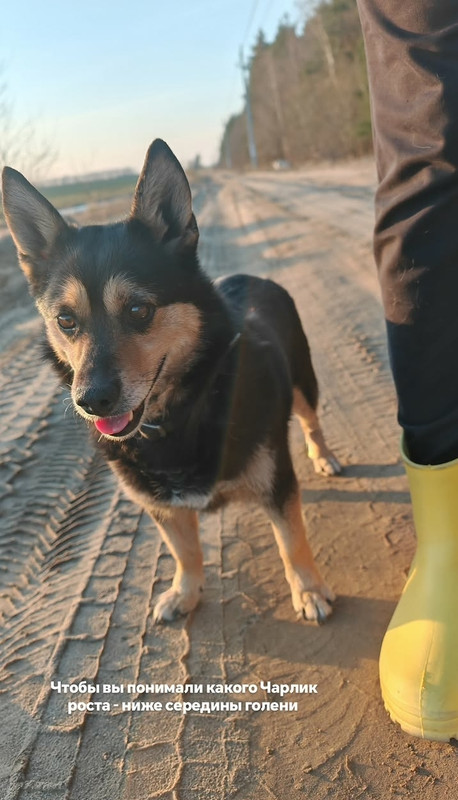 O2k VX35ze ACj0Gg EFxg38f JJ2x DEBE WIk FPS08H3b VL63 Q85hu Jrnnvs Qc LXSn NL1Iw LSbp8DEDBithv Vxj0G