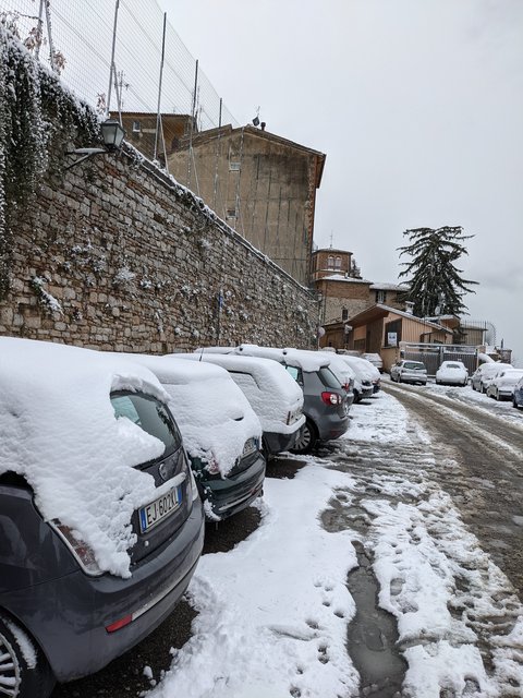 PXL_20210213_101959223.MP