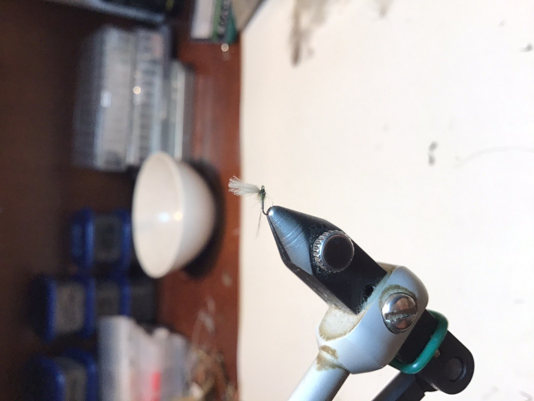 53857369-A0D2-45F7-8EED-378768D93816