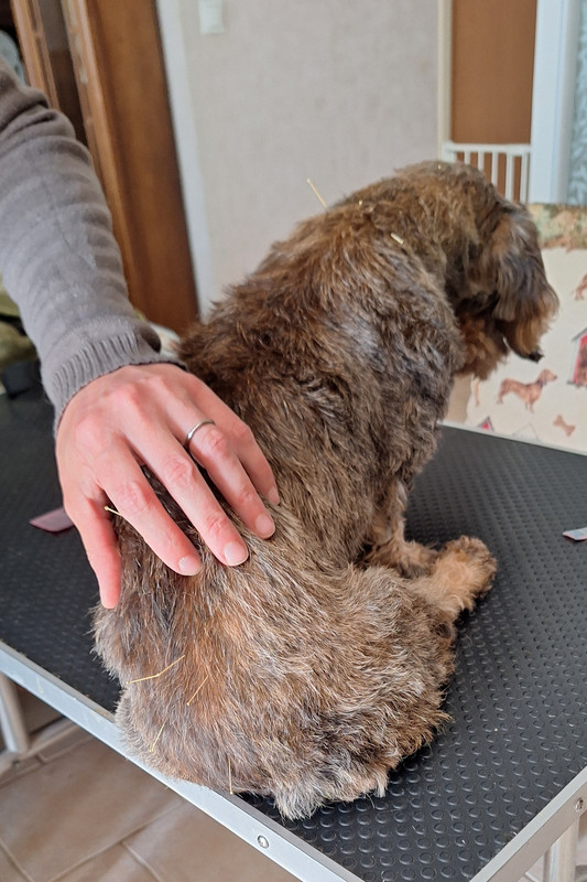 [Image: 20250602-163150.jpg]