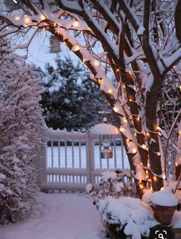 Screenshot_20230904_225527_Pinterest