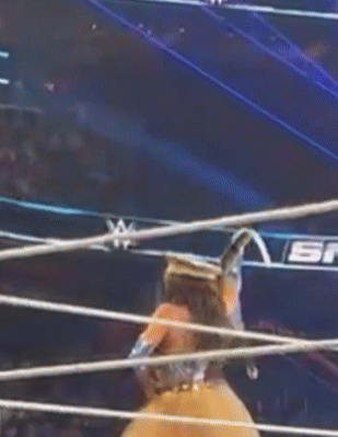 feb14t.gif