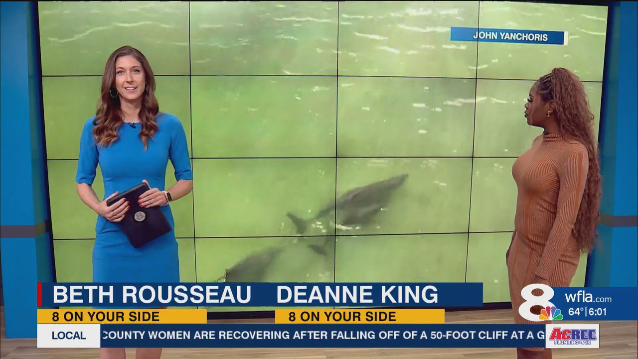 NewsChannel 8 Today at 6a_20241227_11001200.ts_snapshot_02.00.287