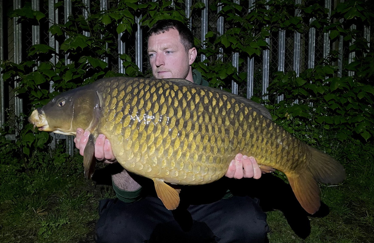 BC7917FD-B509-414F-9304-EABB3500F279