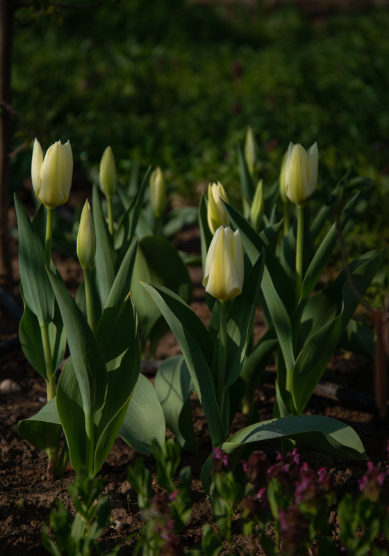 IMG-710ee1ae75ef926a142c1c968f9c656e-V