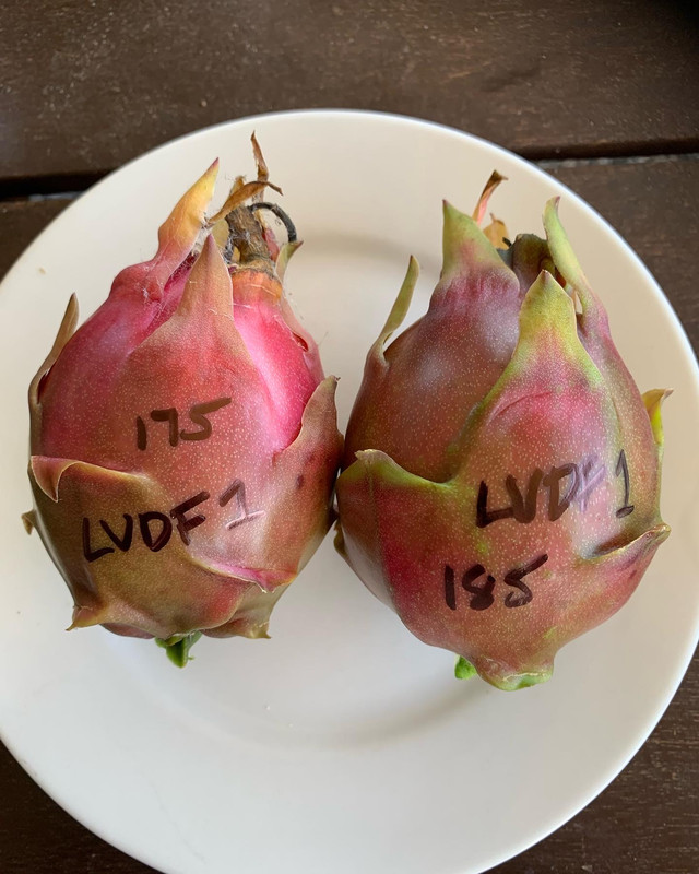 8B3F44DF-4D4F-42F4-985C-6E4C1BD30C6F