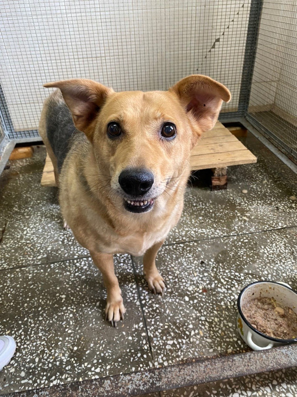 BC44852F-A0D9-45DB-A79F-11E24FA16F6B