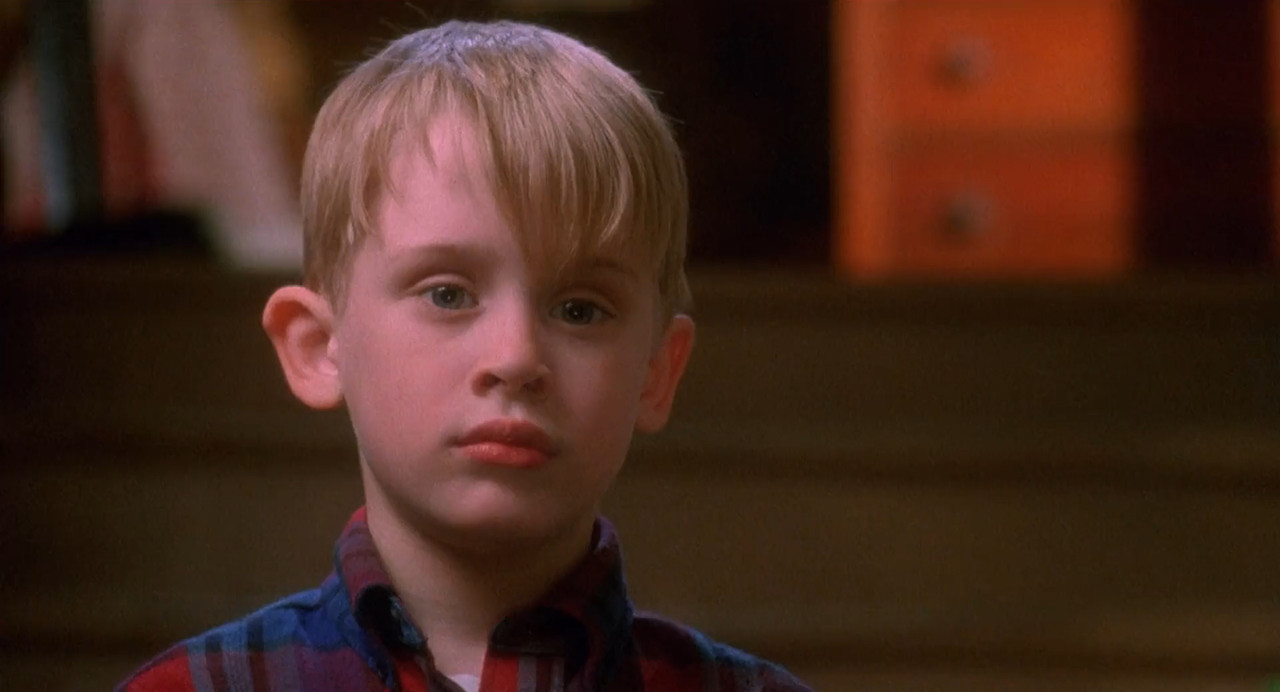 Home Alone 1 1990 BluRay [Hindi + Tamil + English] 1080p 480p 720p ESub Screenshot