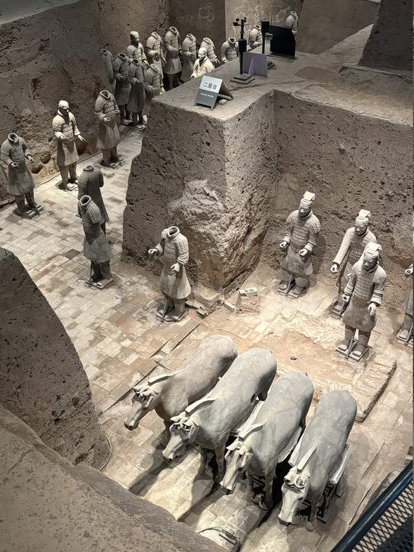 Día 14: Guerreros de Terracota y traslado a Pekín - Disfrutando de China por libre en 18 días (Marzo 2026) (4)