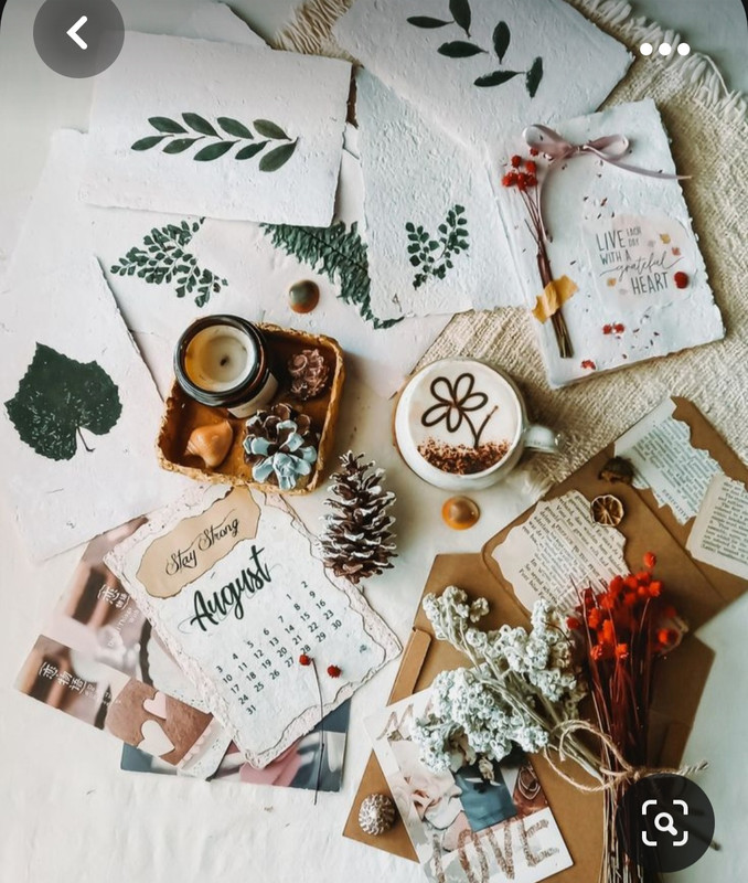 Screenshot_20230930_153029_Pinterest