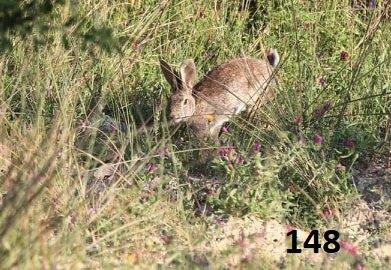 148 guy 95340036_229445631821558_8051418935158898688_n