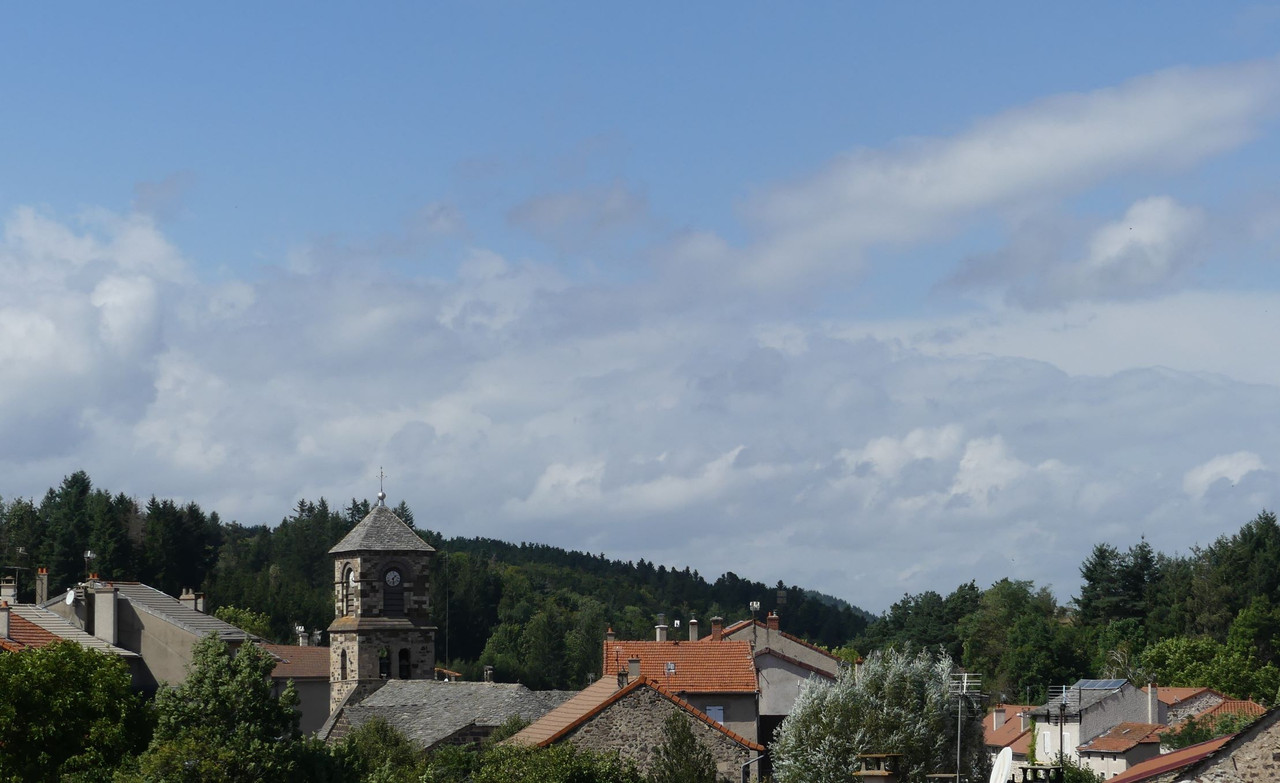 P1090878.jpg