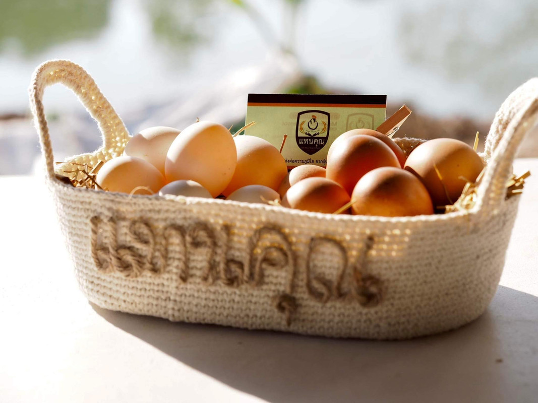 รูปประกอบ 2