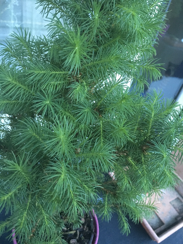 BCF85C0A-9558-4F24-AB5C-170448B57D08