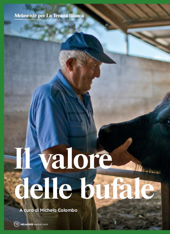 melaverde Mag 2023 (11)