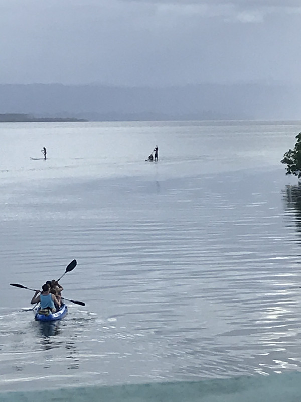 EEA51005-32F2-44F3-9B9E-4DC6C48DDF06