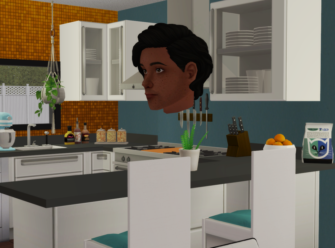 Sims2-EP9-RPC-2022-11-03-19-36-24-77