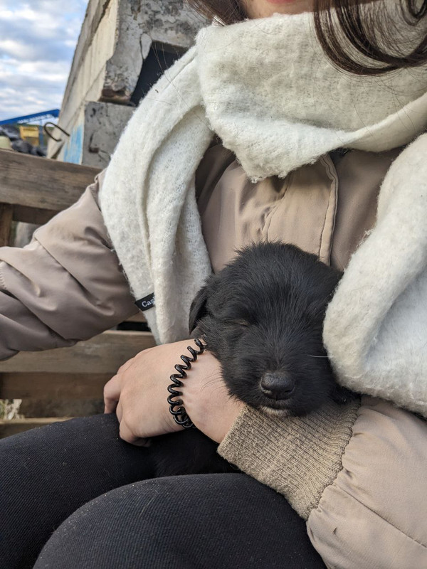 photo_2024-04-23_22-47-39 (2)