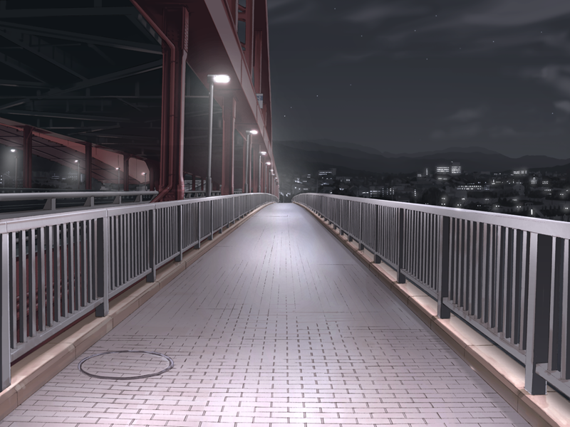 Bridge Night